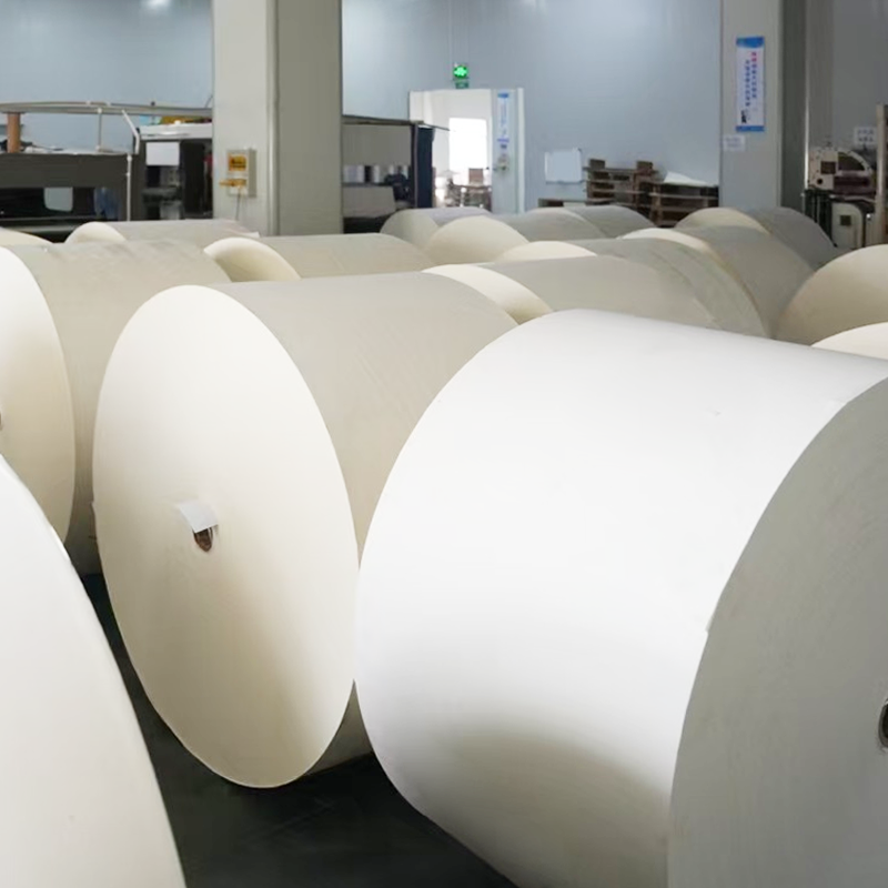 Papel inferior de taza recubierta sin plástico compostable